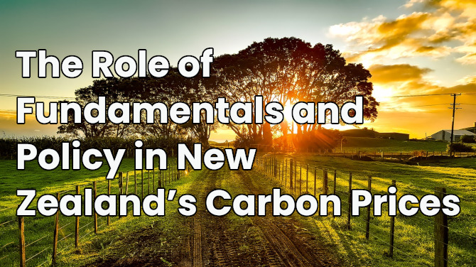 IAEE Webinar | The Role of Fundamentals and Policy in New Zealand's Carbon Prices @ Zoom