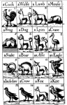 Animals from Locke's fables