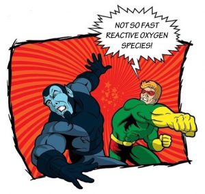 Cartoon of superhero punching bad guy and saying 'Not so fast reactive oxygen species'.