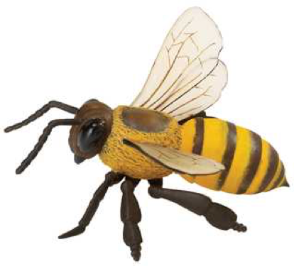 Photo of a large, plastic, toy honeybee.