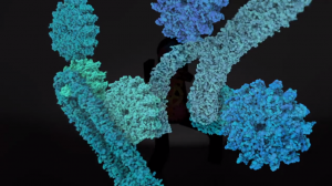 Cartoon of proteins at work from the Learn.Genetics video.