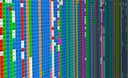 Photo of a protein sequence alignment on a computer screen.