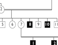 Cropped section from a picture of a family tree.