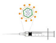 Drawing of a syringe with an enlarged diagram of a virus above it.