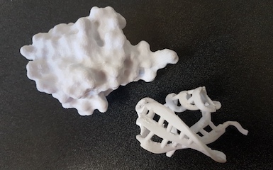 Plastic models of two ubiquitin models, one a surface representation, one a ribbon representation.