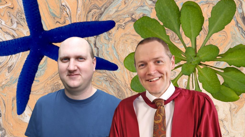 A composite image of two men placed in front of a deep blue five-armed sea star (left) and a green rosette-shaped leafed plant viewed from above; the background consists of a marbled paint effect in blue and sand colours.