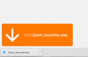 Google Chrome Zoom Install